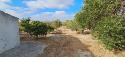 Rustic farm in Junta de los Rios photo 25