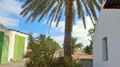 Rustic farm in Junta de los Rios photo 27