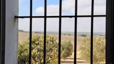 Rustic farm in Junta de los Rios photo 42