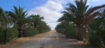 Rustic farm in Junta de los Rios photo 4