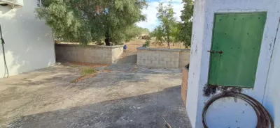 Rustic farm in Junta de los Rios photo 56