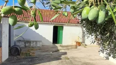 Rustic farm in Junta de los Rios photo 58