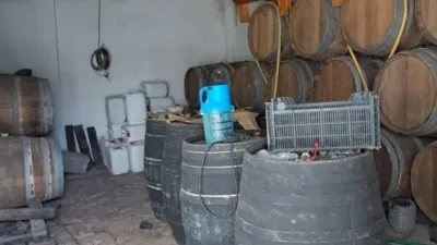 Rustic farm in Junta de los Rios photo 61
