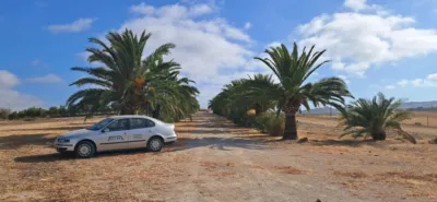 Rustic farm in Junta de los Rios photo 67