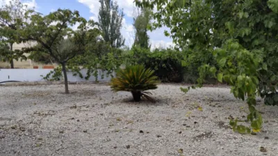 Rustic Finca in Moratalla photo 33