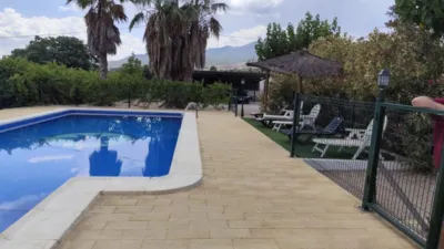 Rustic Finca in Moratalla photo 36