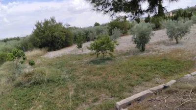 Rustic Finca in Moratalla photo 39