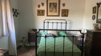 Chalet in Totana photo 19