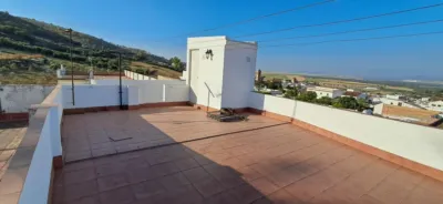 Apartment in Andalucia photo 12