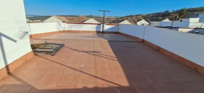 Apartment in Andalucia photo 29