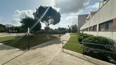 Apartment in Chapín - University Campus - Navinco photo 2