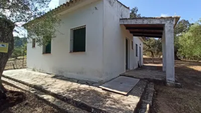 House in El Bosque photo 14