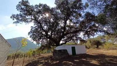 House in El Bosque photo 17