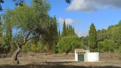 House in El Bosque photo 18