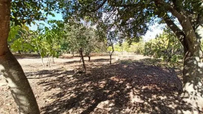 House in El Bosque photo 20