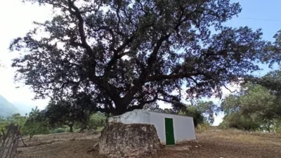 House in El Bosque photo 24