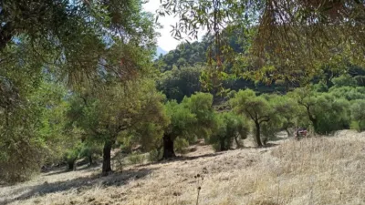 House in El Bosque photo 32