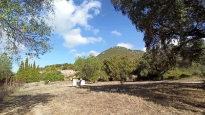 House in El Bosque photo 33