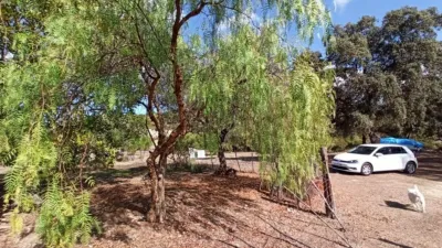 House in El Bosque photo 34