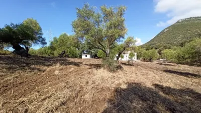 House in El Bosque photo 37