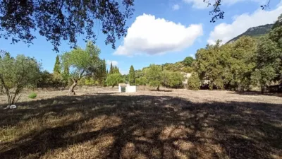 House in El Bosque photo 40