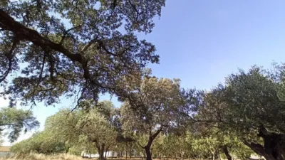 House in El Bosque photo 43