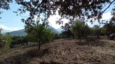 House in El Bosque photo 44