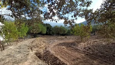 House in El Bosque photo 46