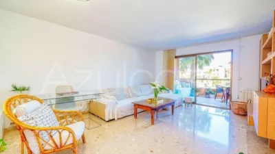 Apartment on Madre Teresa de Calcuta Street photo 4