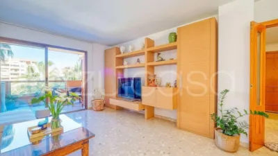 Apartment on Madre Teresa de Calcuta Street photo 5