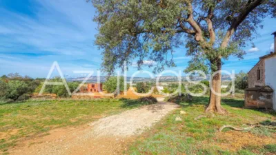 Rustic finca on Bovar Street photo 37