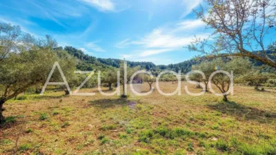 Rustic finca on Bovar Street photo 38