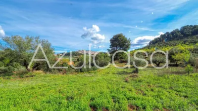 Rustic finca on Bovar Street photo 39