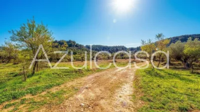 Rustic finca on Bovar Street photo 41