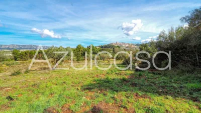 Rustic finca on Bovar Street photo 45