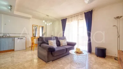 Terraced House on Carrer Aigualera photo 4