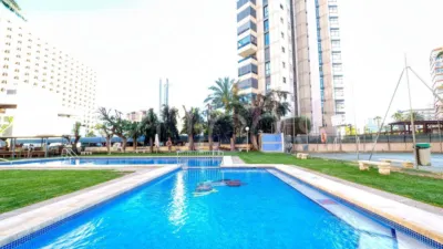 Pis – Benidorm - Vista 2