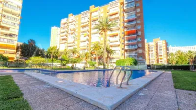 Pis – Benidorm - Vista 3