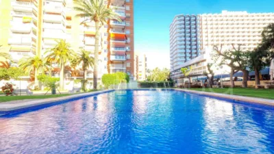 Apartment on Avenida de Juan Fuster, Zaragoza photo 44