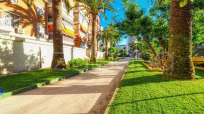 Pis – Benidorm - Vista 4