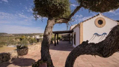 Rustic Finca in El Romeral photo 11
