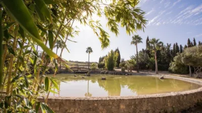 Rustic Finca in El Romeral photo 12