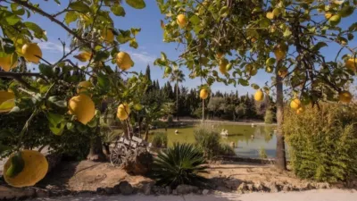Rustic Finca in El Romeral photo 15