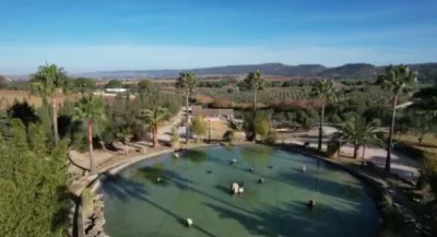 Rustic Finca in El Romeral photo 2