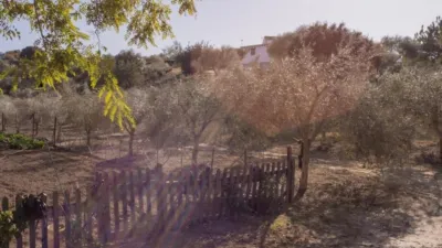 Rustic Finca in El Romeral photo 32