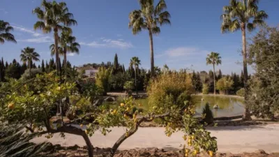 Rustic Finca in El Romeral photo 33