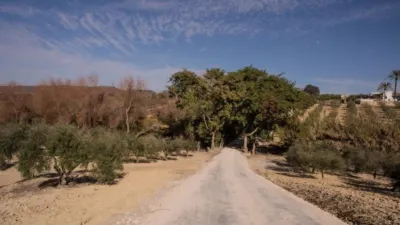Rustic Finca in El Romeral photo 36