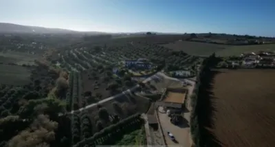 Rustic Finca in El Romeral photo 3