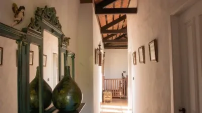 Rustic Finca in El Romeral photo 58
