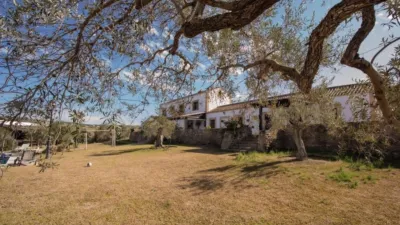 Rustic Finca in El Romeral photo 66